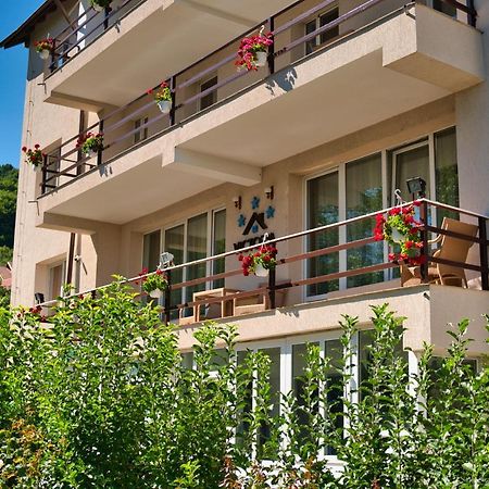 Vila Victoria Râmnicu Vâlcea Dış mekan fotoğraf