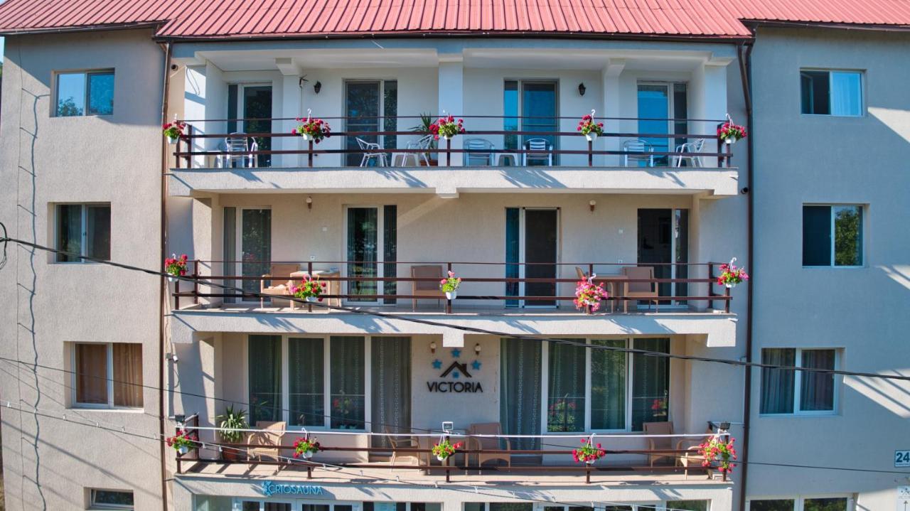 Vila Victoria Râmnicu Vâlcea Dış mekan fotoğraf