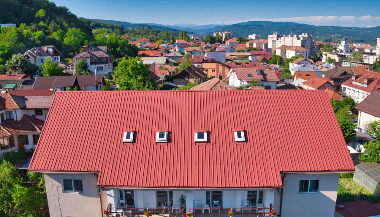 Vila Victoria Râmnicu Vâlcea Dış mekan fotoğraf