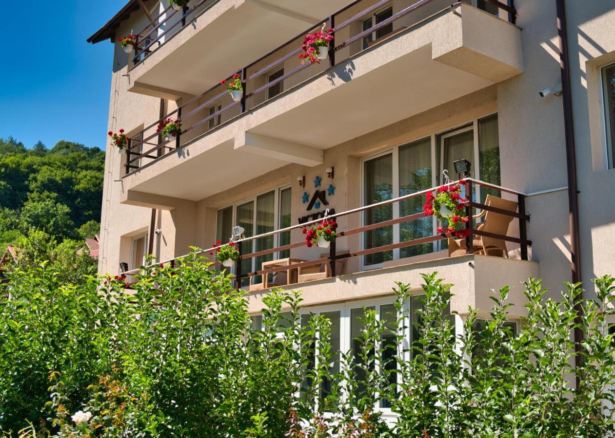 Vila Victoria Râmnicu Vâlcea Dış mekan fotoğraf