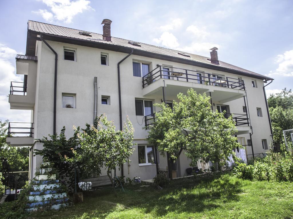 Vila Victoria Râmnicu Vâlcea Dış mekan fotoğraf