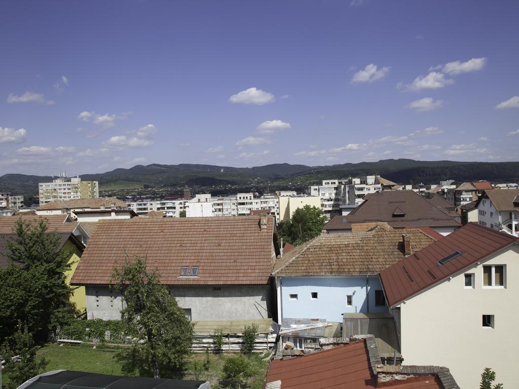 Vila Victoria Râmnicu Vâlcea Dış mekan fotoğraf