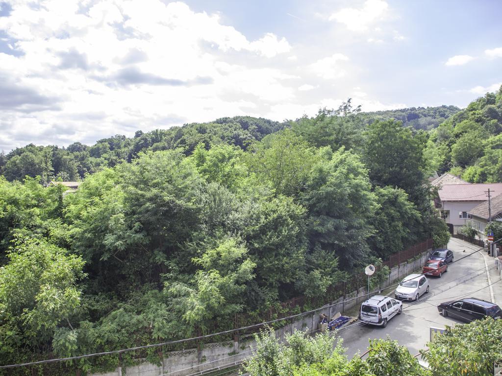 Vila Victoria Râmnicu Vâlcea Dış mekan fotoğraf