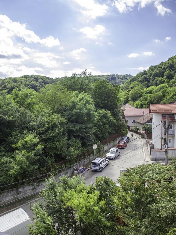 Vila Victoria Râmnicu Vâlcea Dış mekan fotoğraf